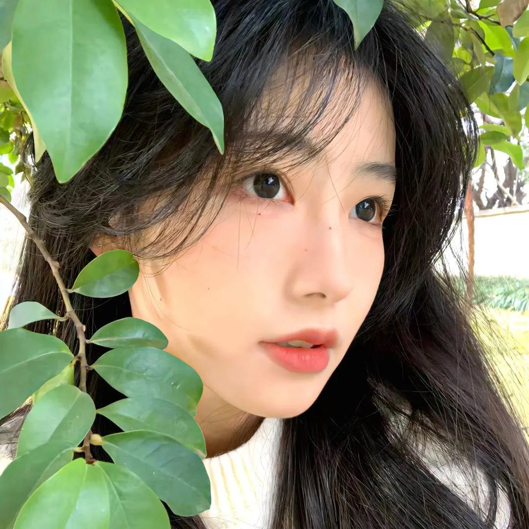 如翼之舟